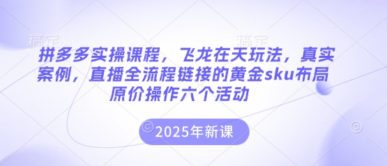 拼多多实操课程，飞龙在天玩法，真实案例，直播全流程链接的黄金sku布局原价操作六个活动-源创文化:轻创终点站