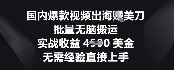 国内爆款视频出海挣美刀，批量无脑搬运，实战收益4.5k，无需经验直接上手-源创文化:轻创终点站