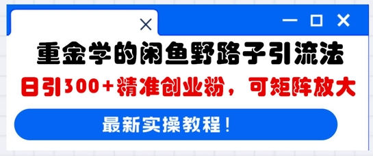 重金学的闲鱼野路子引流法，日引300+精准创业粉，可矩阵放大-源创文化:轻创终点站