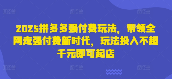 2025拼多多强付费玩法，带领全网走强付费新时代，玩法投入不超千元即可起店-源创文化:轻创终点站