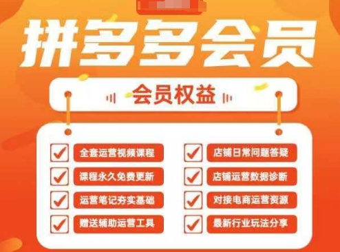 2025拼多多运营实战课，40节全流程教学，覆盖拼多多运营全链路-源创文化:轻创终点站